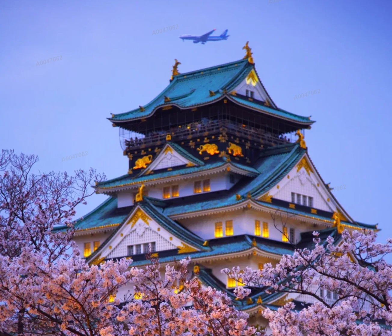 Japan & Southeast Asia